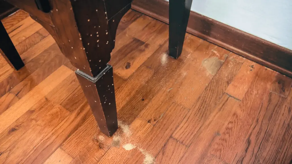 cuidado profesional de la madera